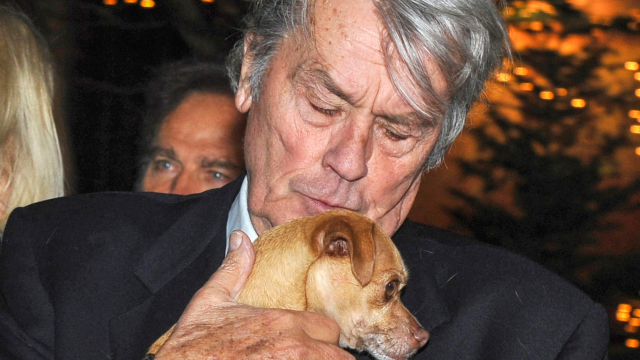 Alain Delon, la mort d'une icône française à la notoriété planétaire