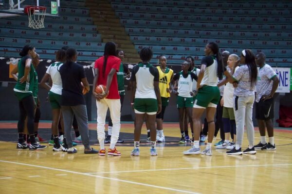 Basket - Préqualification Mondial dames : 12 lionnes sur la liste du coach Otis Hughley Jr