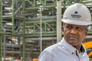 Nigeria : la raffinerie Dangote débute l’approvisionnement du pays en essence